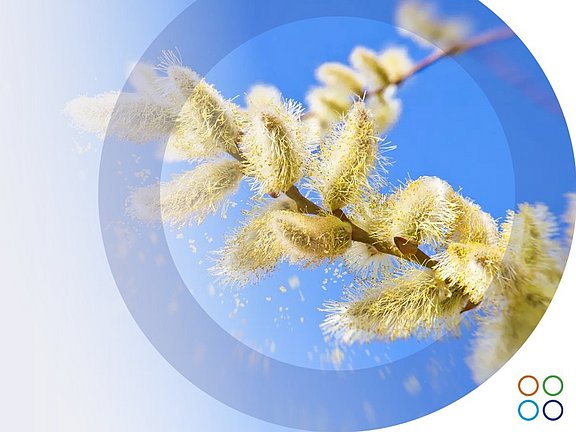 Causas de las alergias